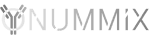 Nummix